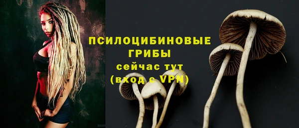 трава Богданович
