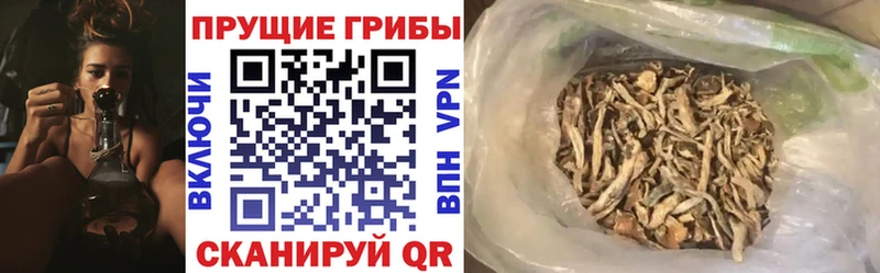 Галлюциногенные грибы ЛСД  Бутурлиновка 